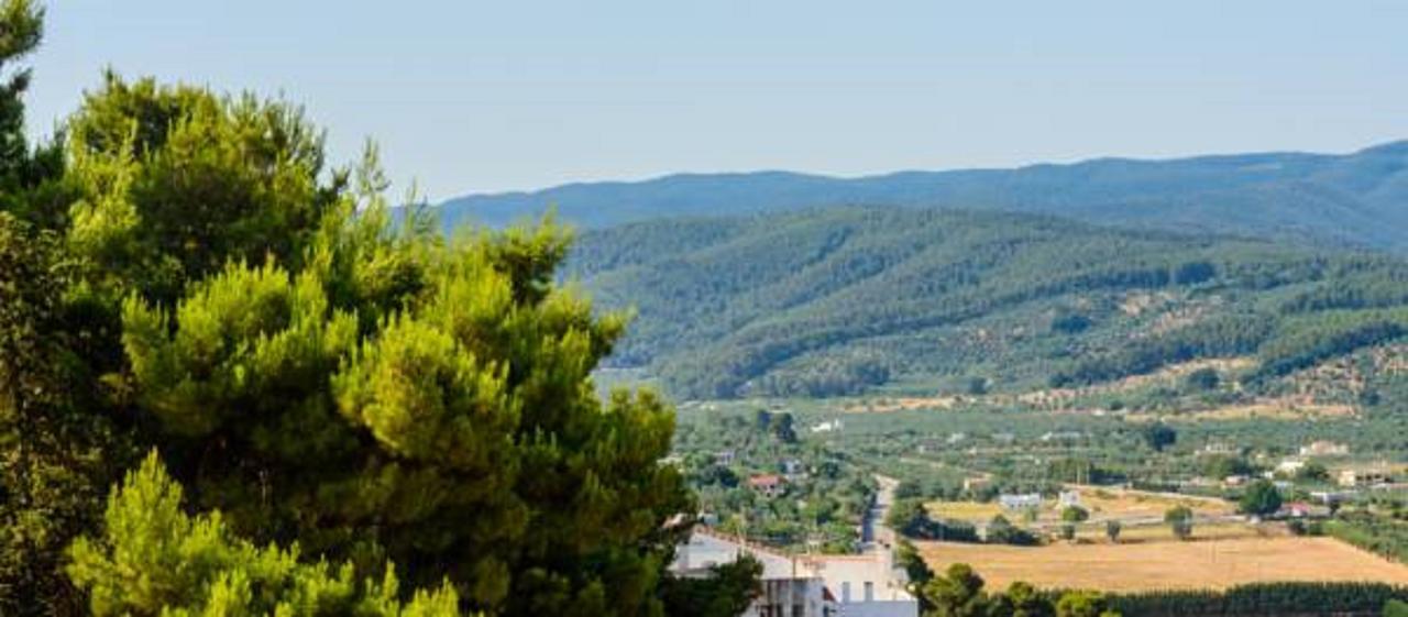 B&B Rose Villa Peschici Zewnętrze zdjęcie